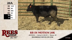 Lot #20AA - RB IN MOTION 20K