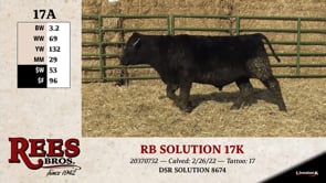 Lot #17AA - RB SOLUTION 17K