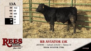 Lot #13AA - RB AVIATOR 13K