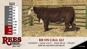 Lot #12J - RB ON CALL 12J