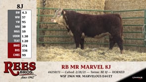 Lot #8J - RB MR MARVEL 8J