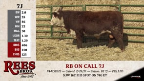 Lot #7J - RB ON CALL 7J