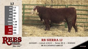 Lot #1J - RB SIERRA 1J