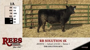 Lot #1AA - RB SOLUTION 1K