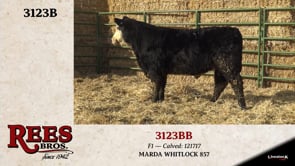 Lot #3123BB - 3123BB