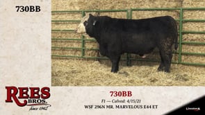 Lot #730BB - 730BB