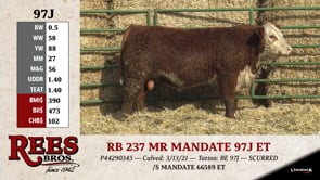 Lot #97J - RB 237 MR MANDATE 97J ET