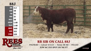 Lot #88J - RB SIR ON CALL 88J