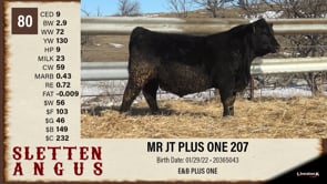 Lot #80 - MR JT PLUS ONE 207