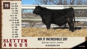 Lot #79 - MR JT INCREDIBLE 287