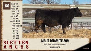 Lot #66 - MR JT DNAMITE 209