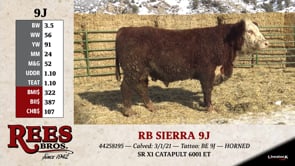 Lot #9J - RB SIERRA 9J