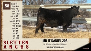 Lot #58 - MR JT DANIEL 208