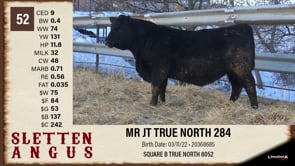 Lot #52 - MR JT TRUE NORTH 284