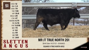 Lot #51 - MR JT TRUE NORTH 201