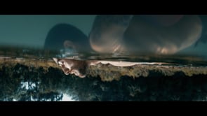 Buda Jeans Co. - Suraj's Cut