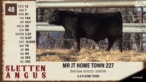 Lot #48 - MR JT HOME TOWN 227