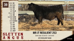Lot #39 - MR JT RESILIENT 253