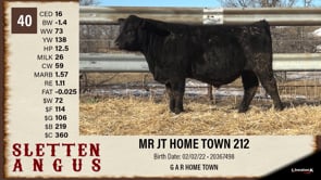 Lot #40 - MR JT HOME TOWN 212