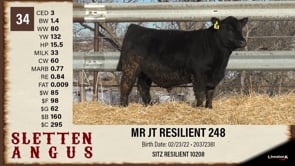 Lot #34 - MR JT RESILIENT 248