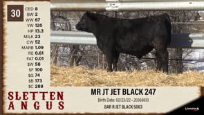 Lot #30 - MR JT JET BLACK 247