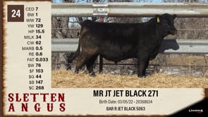 Lot #24 - MR JT JET BLACK 271