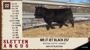 Lot #22 - MR JT JET BLACK 257