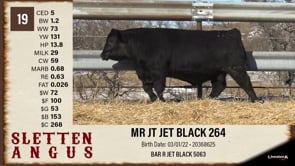 Lot #19 - MR JT JET BLACK 264
