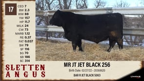 Lot #17 - MR JT JET BLACK 256