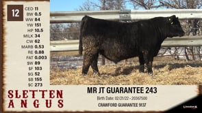 Lot #12 - MR JT GUARANTEE 243