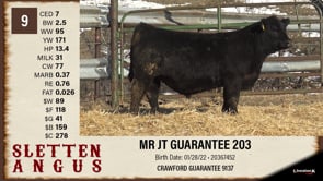 Lot #9 - MR JT GUARANTEE 203