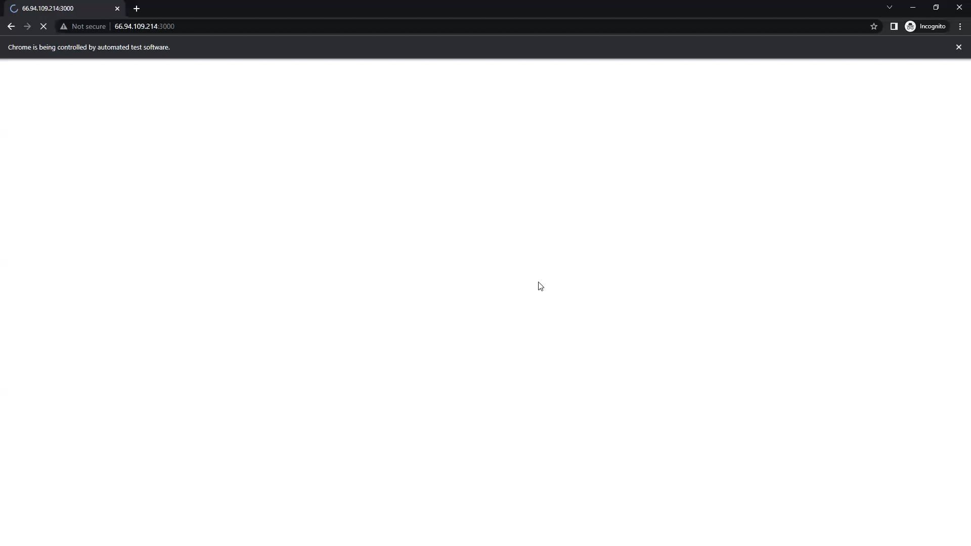 Web Testing (Test Server site) on Vimeo