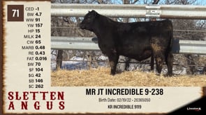 Lot #71 - MR JT INCREDIBLE 9-238