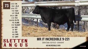 Lot #73 - MR JT INCREDIBLE 9-221