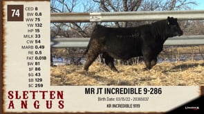 Lot #74 - MR JT INCREDIBLE 9-286