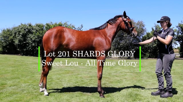 Lot 201