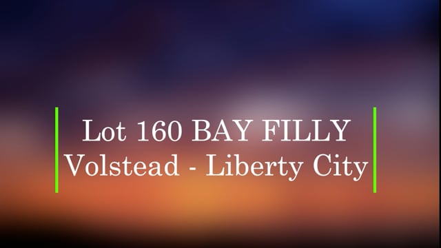 Lot 160