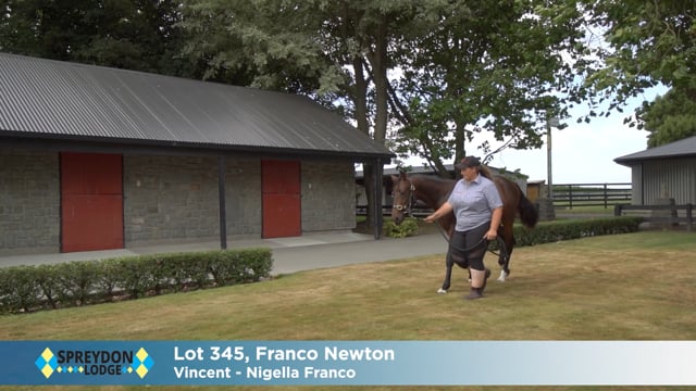 Lot 345