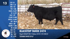 Lot #13 - BLACKTOP TAHOE 2474