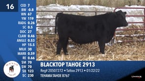 Lot #16 - BLACKTOP TAHOE 2913