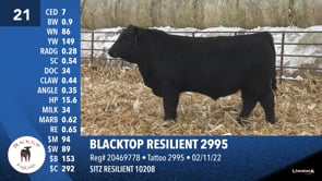 Lot #21 - BLACKTOP RESILIENT 2995