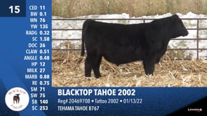 Lot #15 - BLACKTOP TAHOE 2002