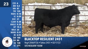 Lot #23 - BLACKTOP RESILIENT 2451