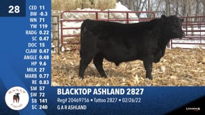 Lot #28 - BLACKTOP ASHLAND 2827