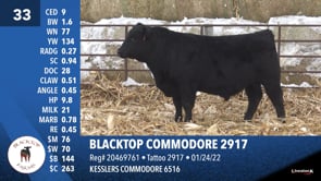 Lot #33 - BLACKTOP COMMODORE 2917