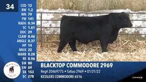 Lot #34 - BLACKTOP COMMODORE 2969