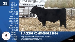 Lot #35 - BLACKTOP COMMODORE 2926