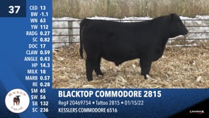 Lot #37 - BLACKTOP COMMODORE 2815