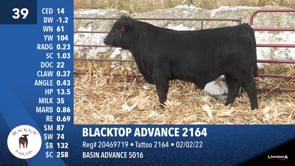 Lot #39 - BLACKTOP ADVANCE 2164