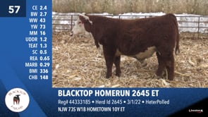 Lot #57 - BLACKTOP HOMERUN 2645 ET